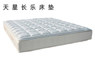双人床垫 ,各种材料床垫定做,床垫厂 家居用品–